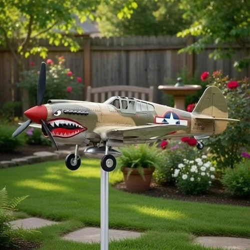 Shark mouth airplane - shark,