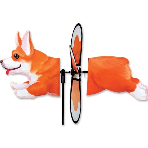 Corgi dog petite - petite, wind